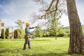 How Our Tree Care Process Works  in Port Jefferson Station, NY